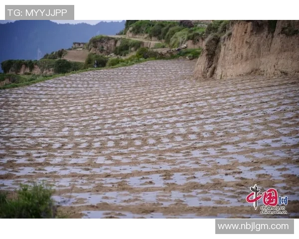 足球明星杨克乐的传奇之路与辉煌成就揭秘